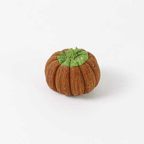 ȣڸ ̰ (1P)